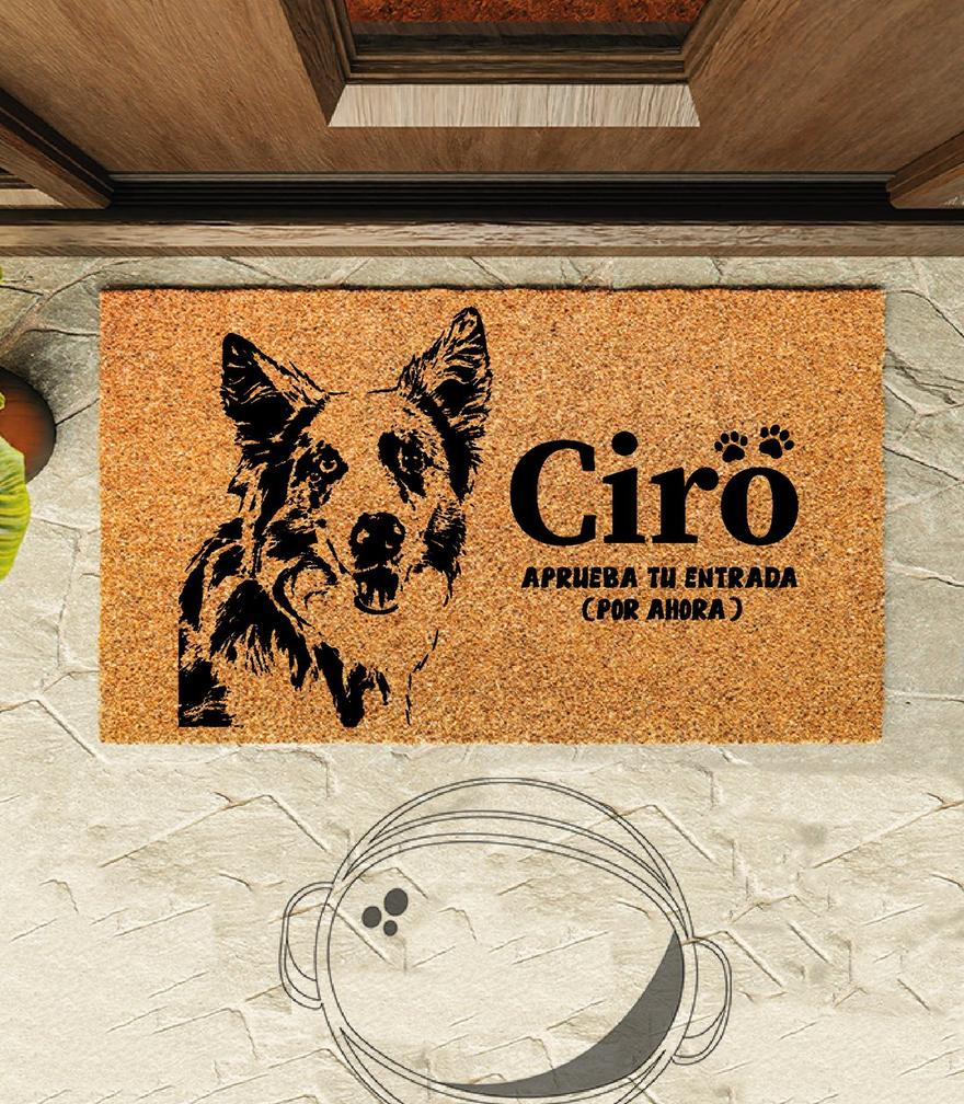 Choapino grabado con el retrato de un perro en la entrada de una casa